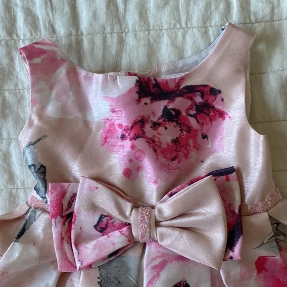 Sweet Heart Rose Floral Pink Sleeveless Dress Size 24 Months - Picture 3 of 11